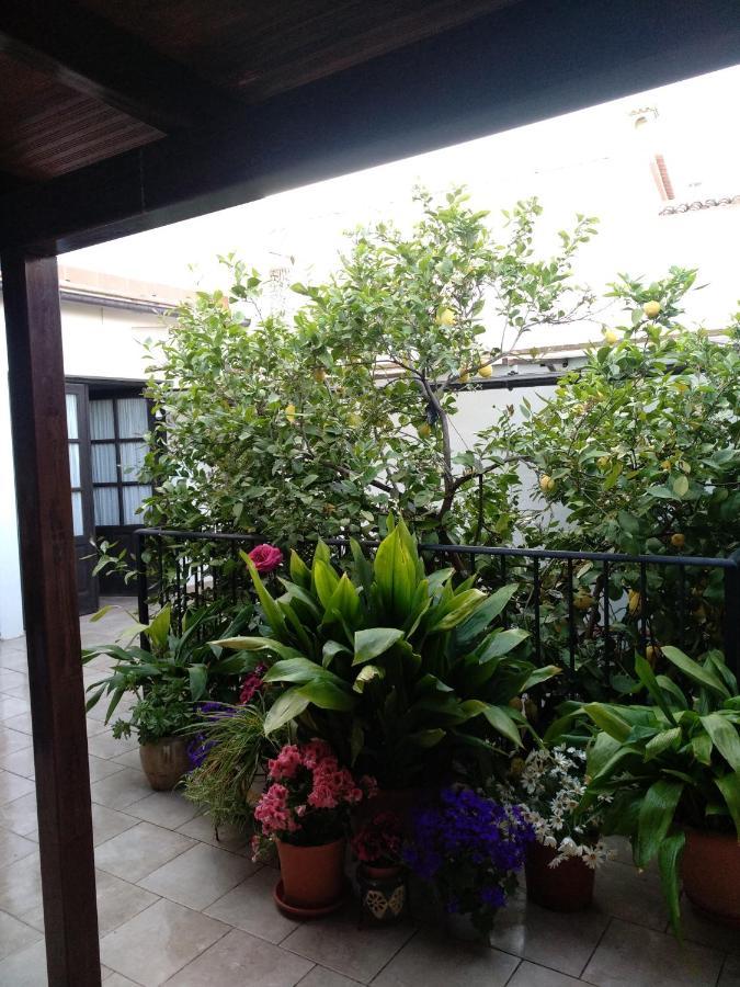 아르달레스 El Patio Andalu B&B 외부 사진