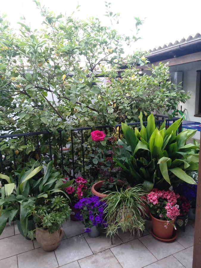아르달레스 El Patio Andalu B&B 외부 사진
