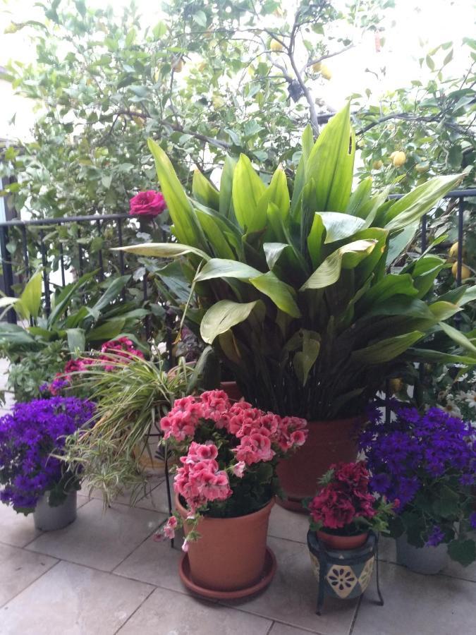 아르달레스 El Patio Andalu B&B 외부 사진